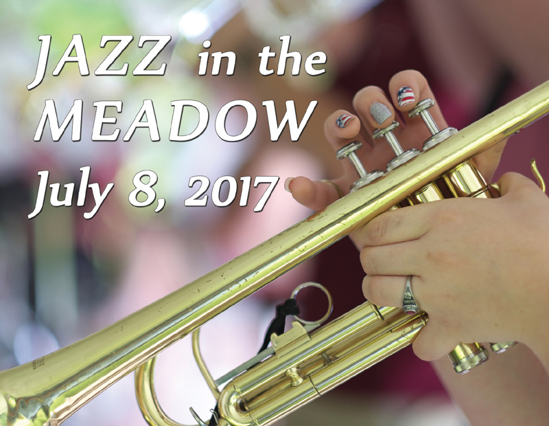 Jazz in the Meadow 2017 – Update – Jazz in the Meadow